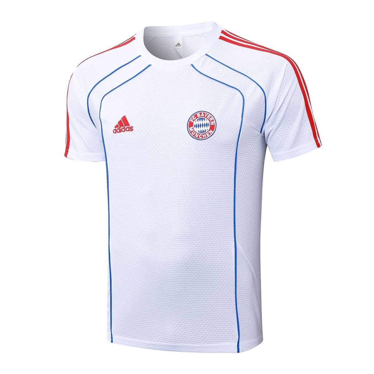 Kit de Treino adulto Bayern de Munique 2025/26 Short e Camisa