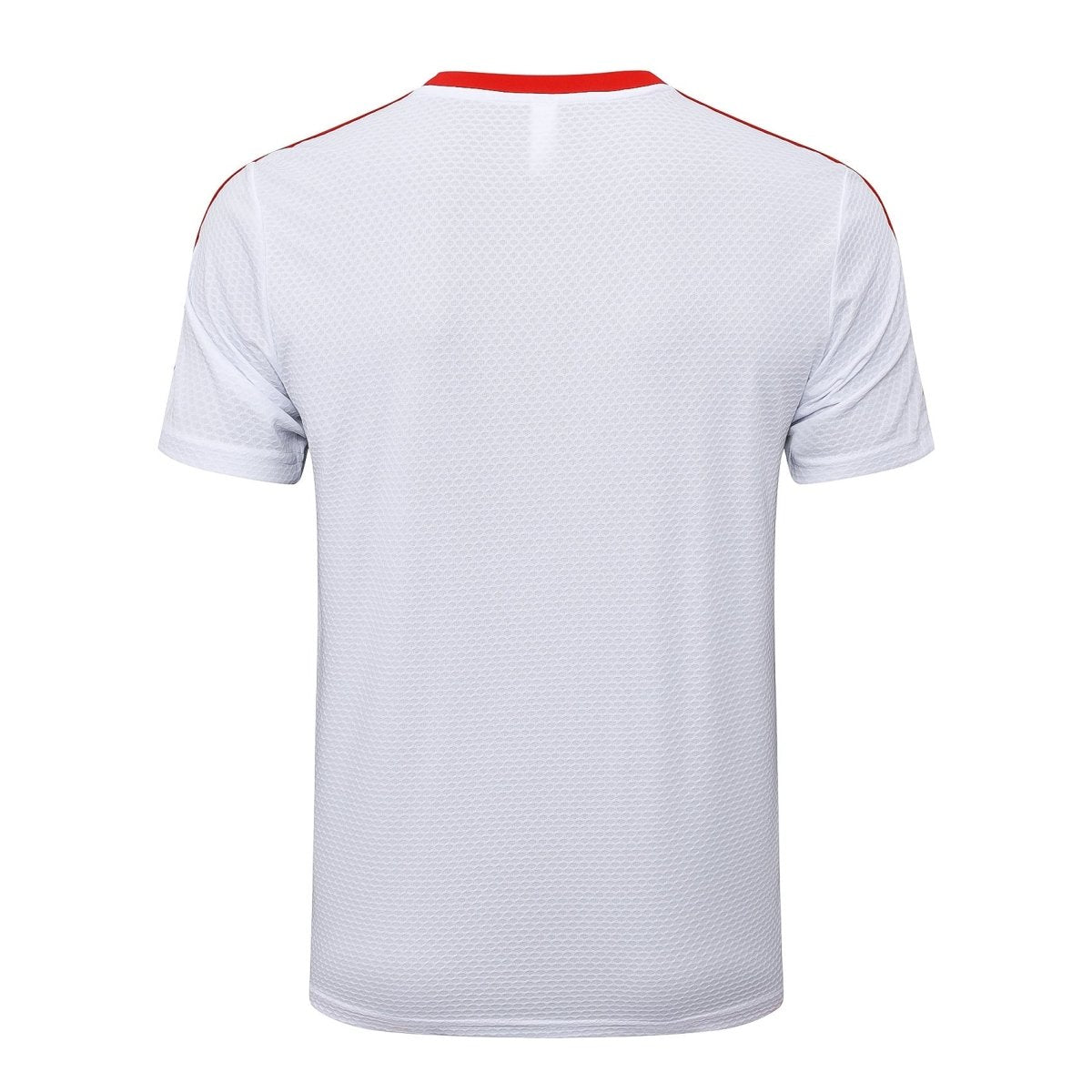 Kit de Treino adulto Bayern de Munique 2025/26 Short e Camisa