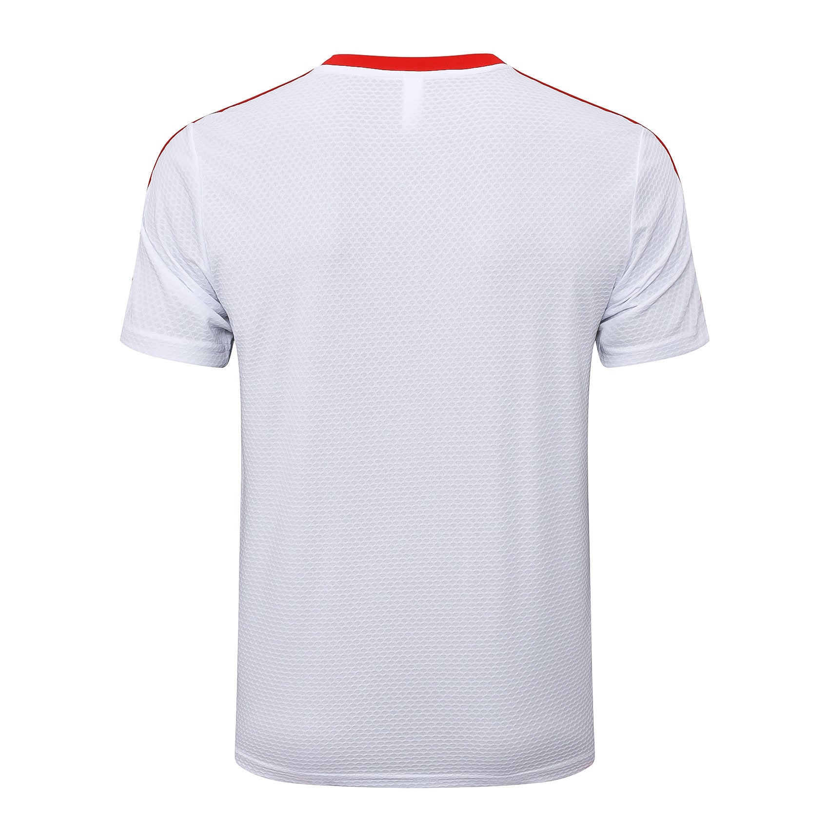 Kit de Treino adulto Bayern de Munique 2025/26 Short e Camisa