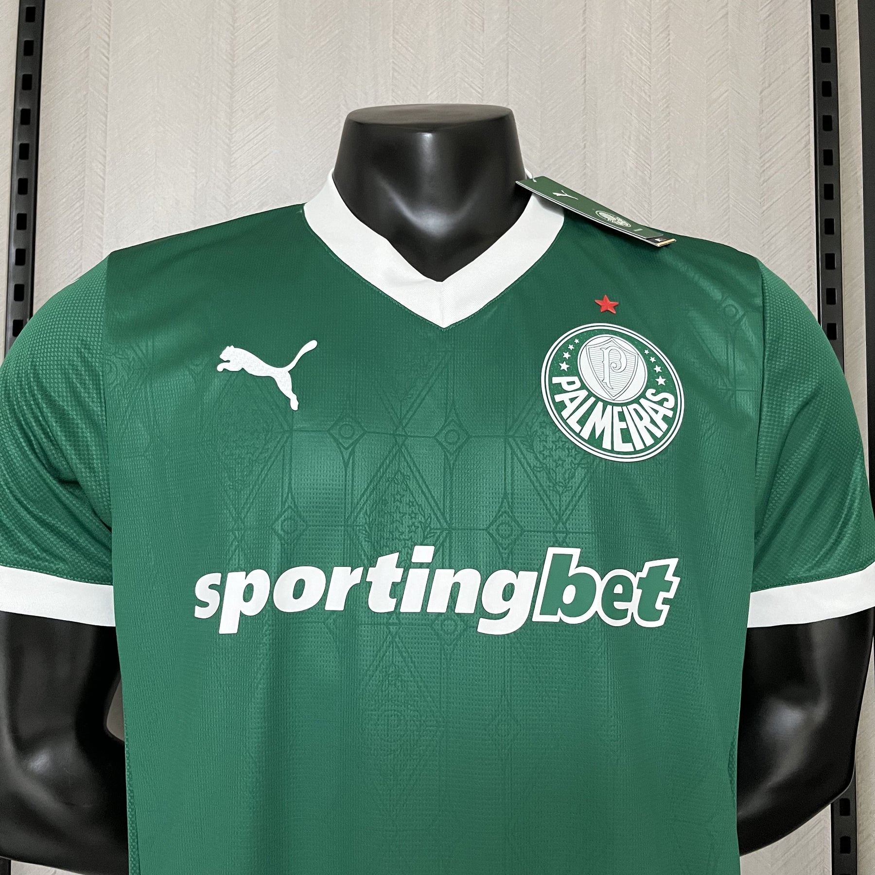 Camisa Palmeiras Jogador Home 2025 - Verde