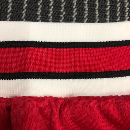 Short Chicago Bulls Icon Edition