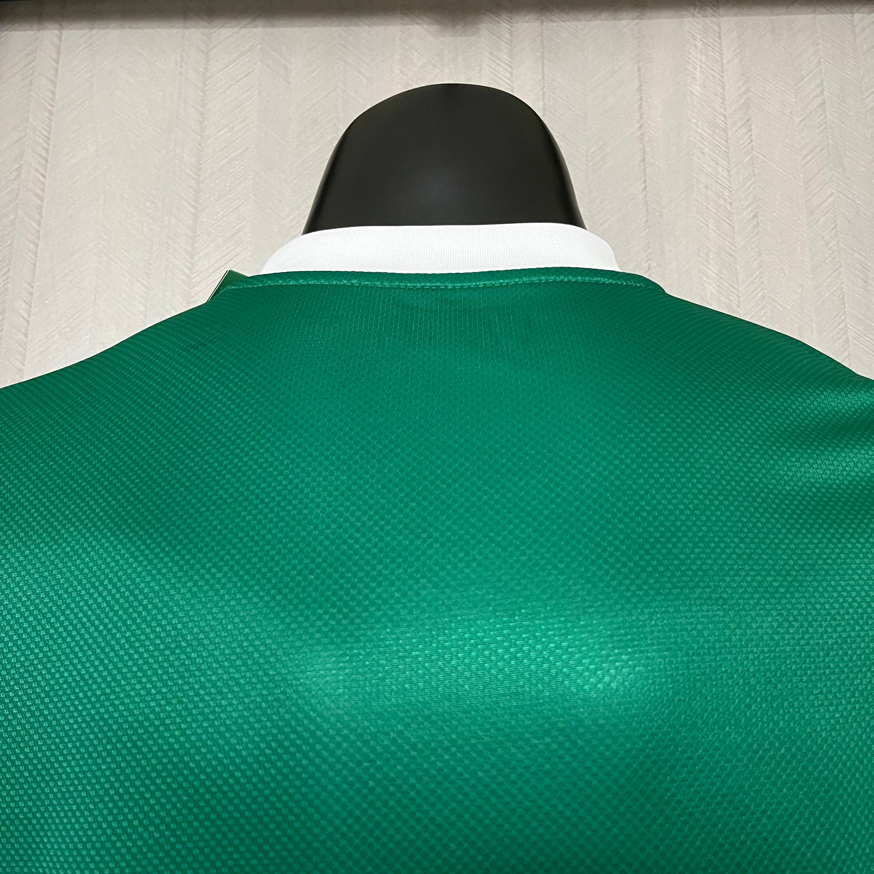 Camisa Palmeiras Jogador Home 2025 - Verde