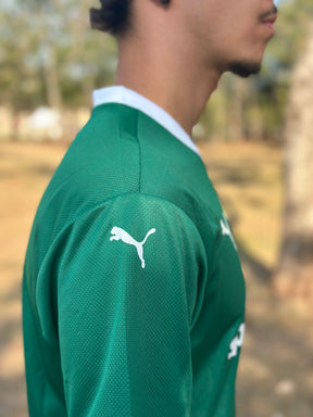 Camisa Puma Palmeiras I 2025