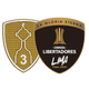 Kit 2 Patches Final Libertadores 2025