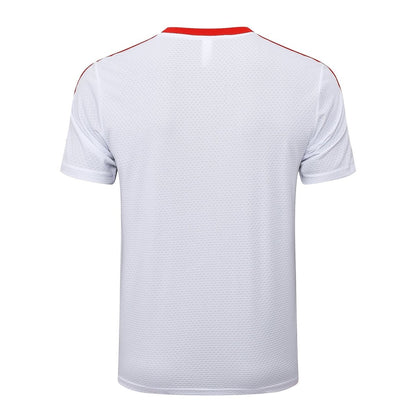 Kit de Treino adulto Bayern de Munique 2025/26 Short e Camisa