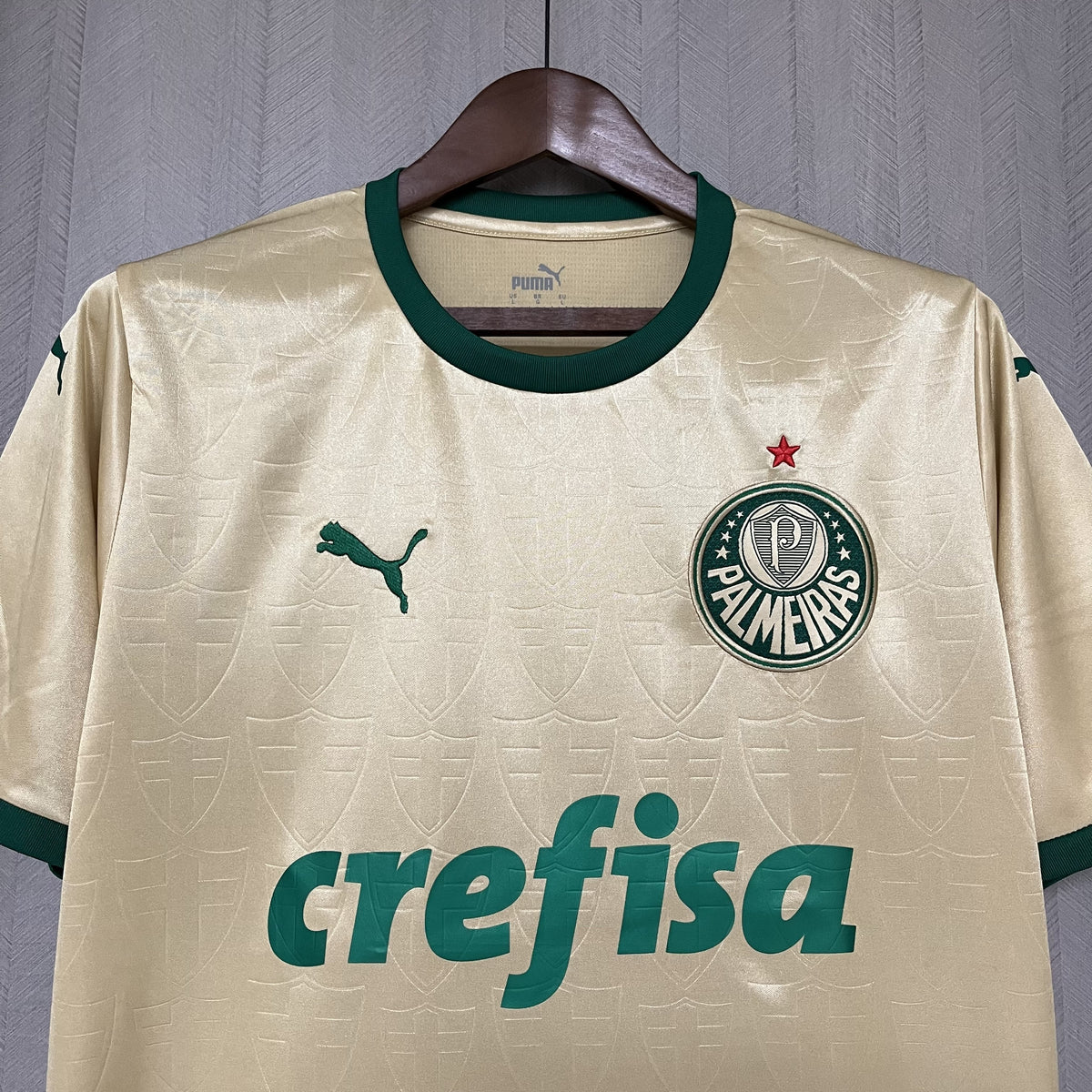 Camisa Palmeiras Torcedor Third 24/25