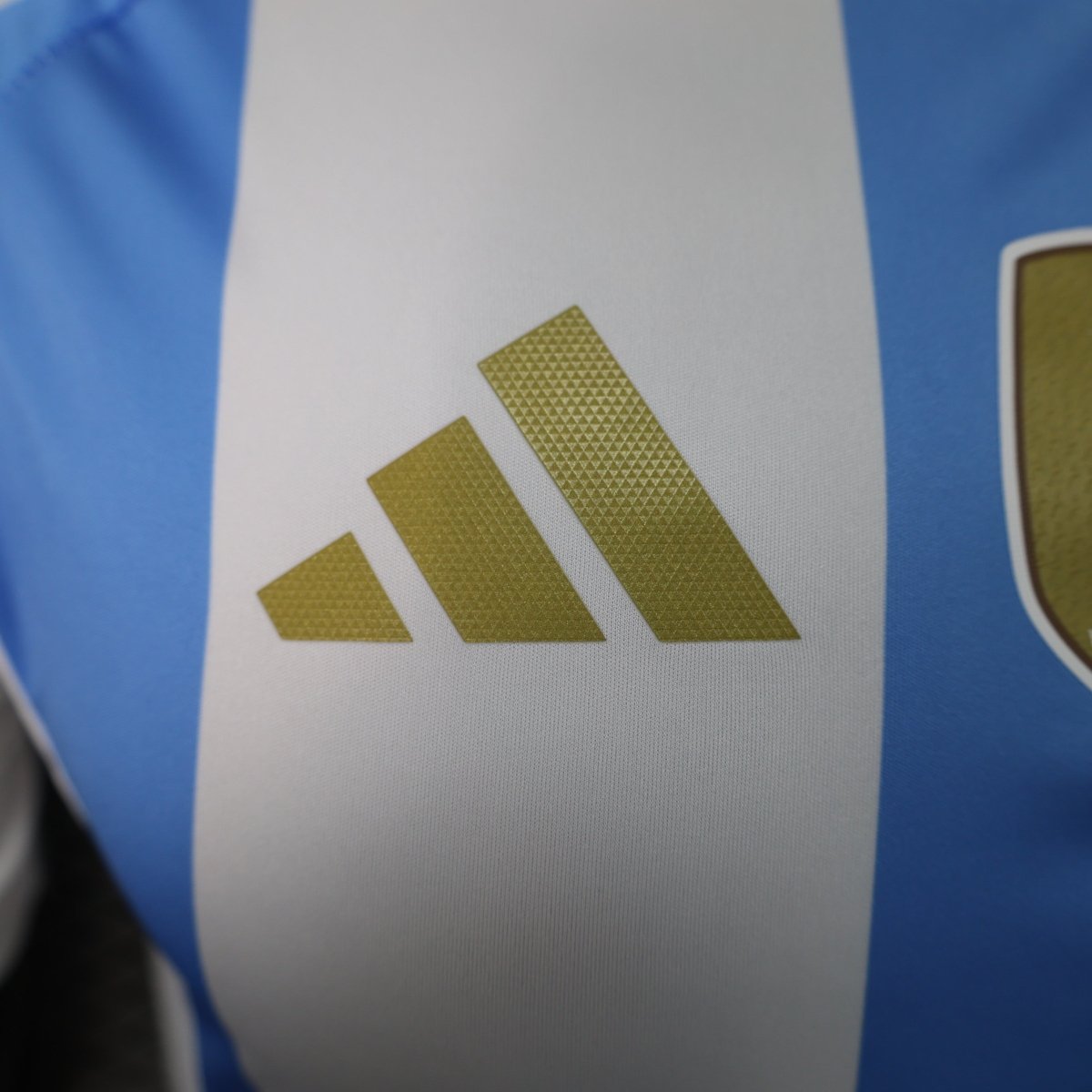 Camisa da Argentina Home 24/25 Jogador - DA Sports Oficial