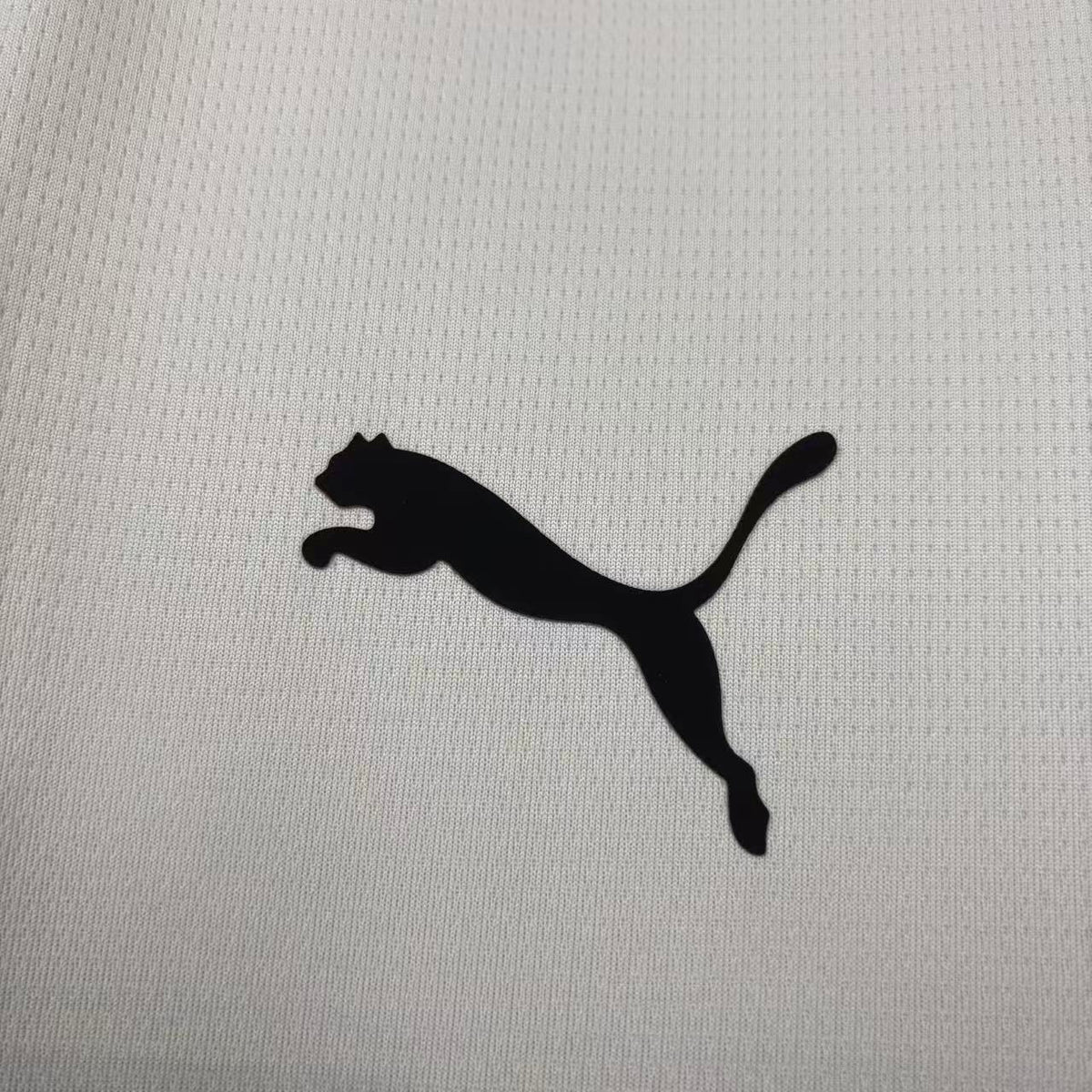 Camisa do Parma Home 2026/27 Torcedor
