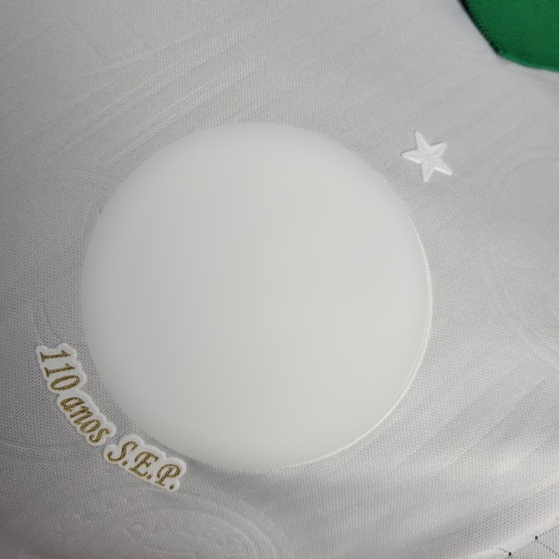 Camisa Palmeiras I 24/25 s/n° Jogador Puma - Branca consciência negra - DA Sports Oficial