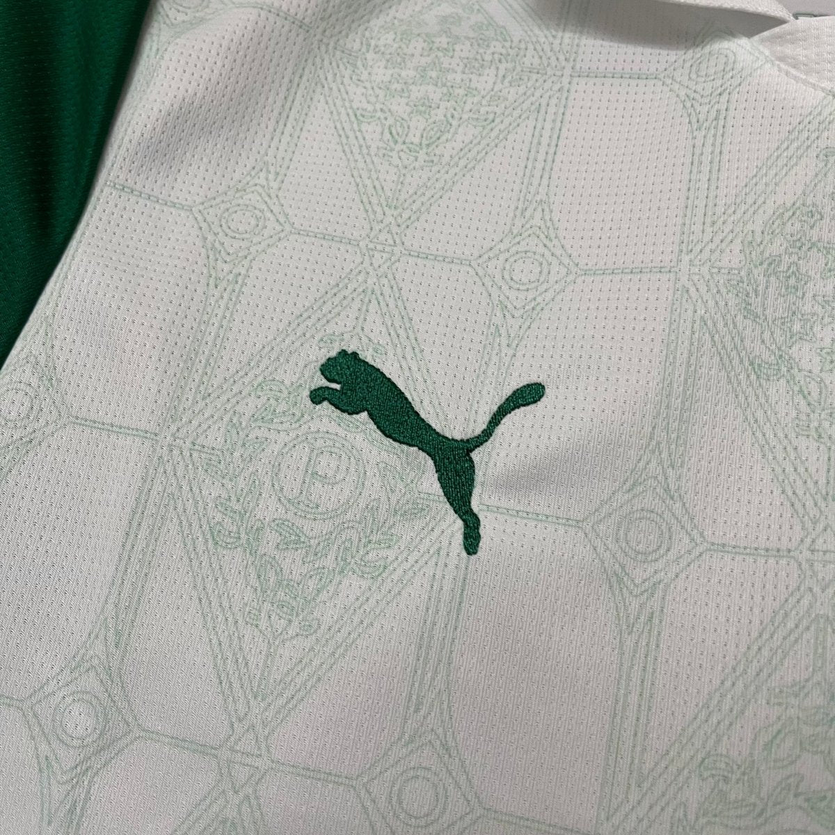 Camisa Puma Palmeiras II 2025 - (Feminina) - DA Sports Oficial
