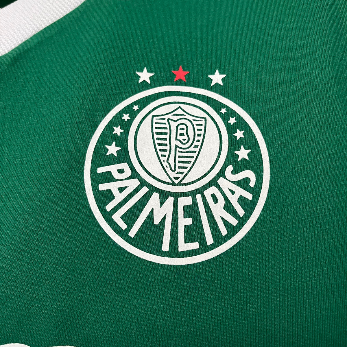 Camisa Retrô do Palmeiras Home 1989 Torcedor