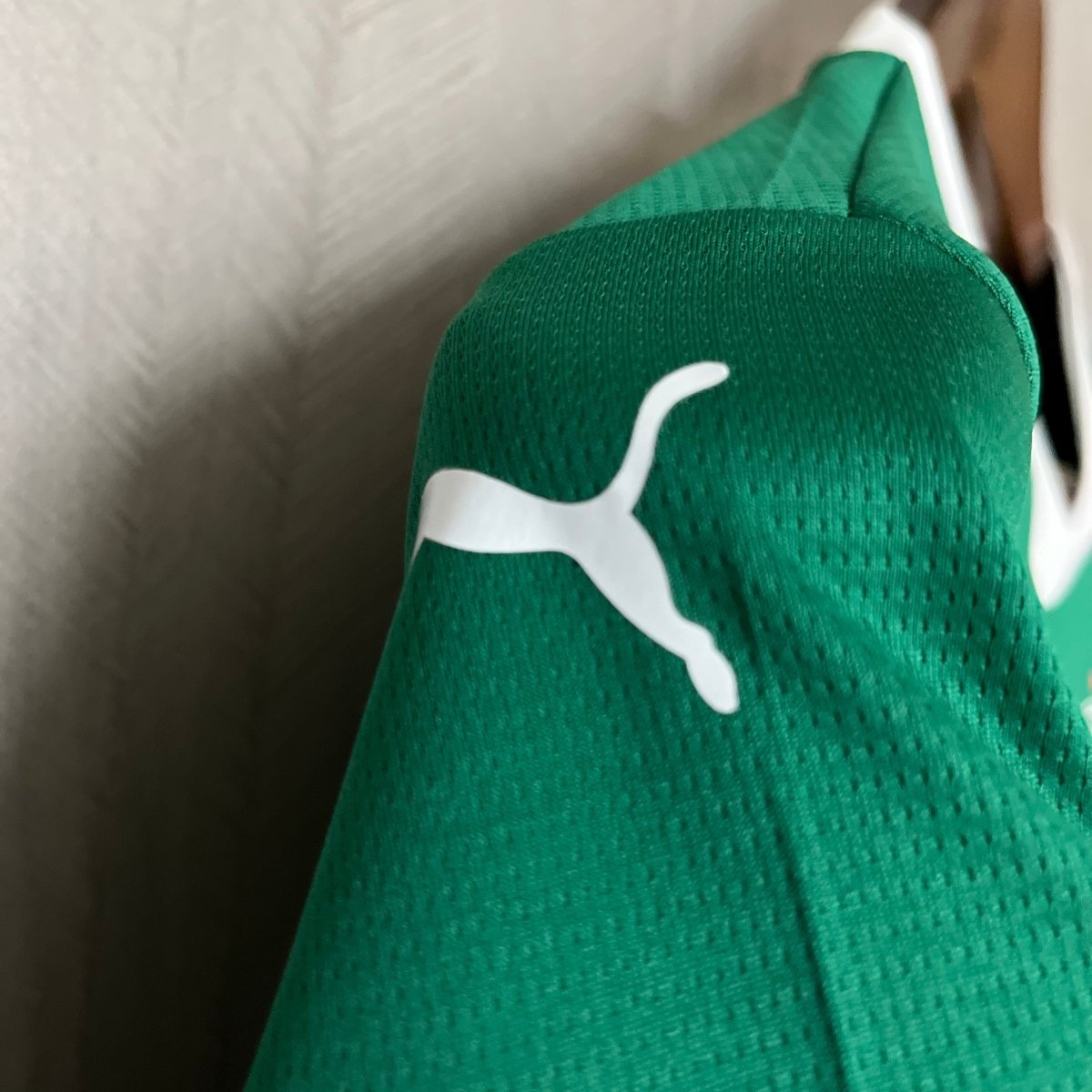 Conjunto Infantil Puma Palmeiras 2025/26 I - DA Sports Oficial