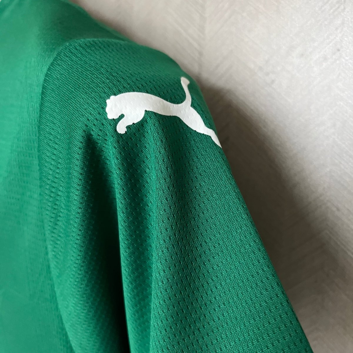 Conjunto Infantil Puma Palmeiras 2025/26 I - DA Sports Oficial