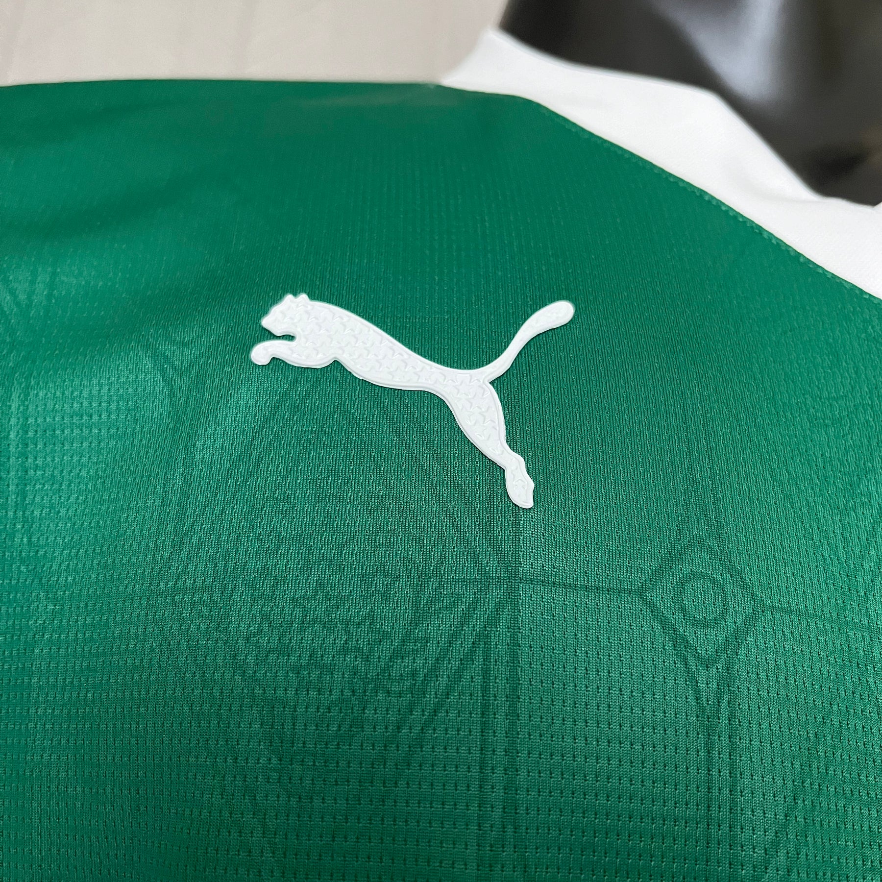 Camisa Palmeiras Jogador Home 2025 - Verde