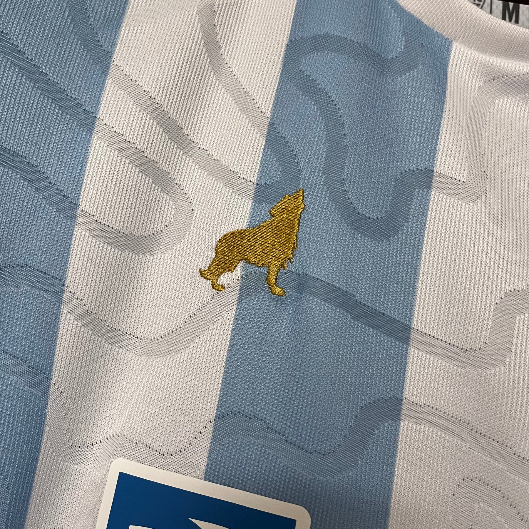 Camisa Lobo Paysandu I 2025 - Azul Feminina