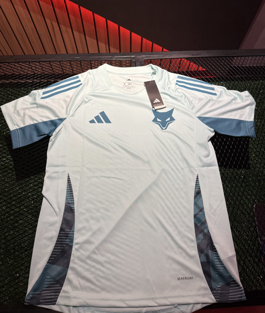 [PRONTA ENTREGA] Camisa Adidas Cruzeiro Treino 2025